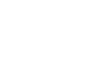 Family Cars